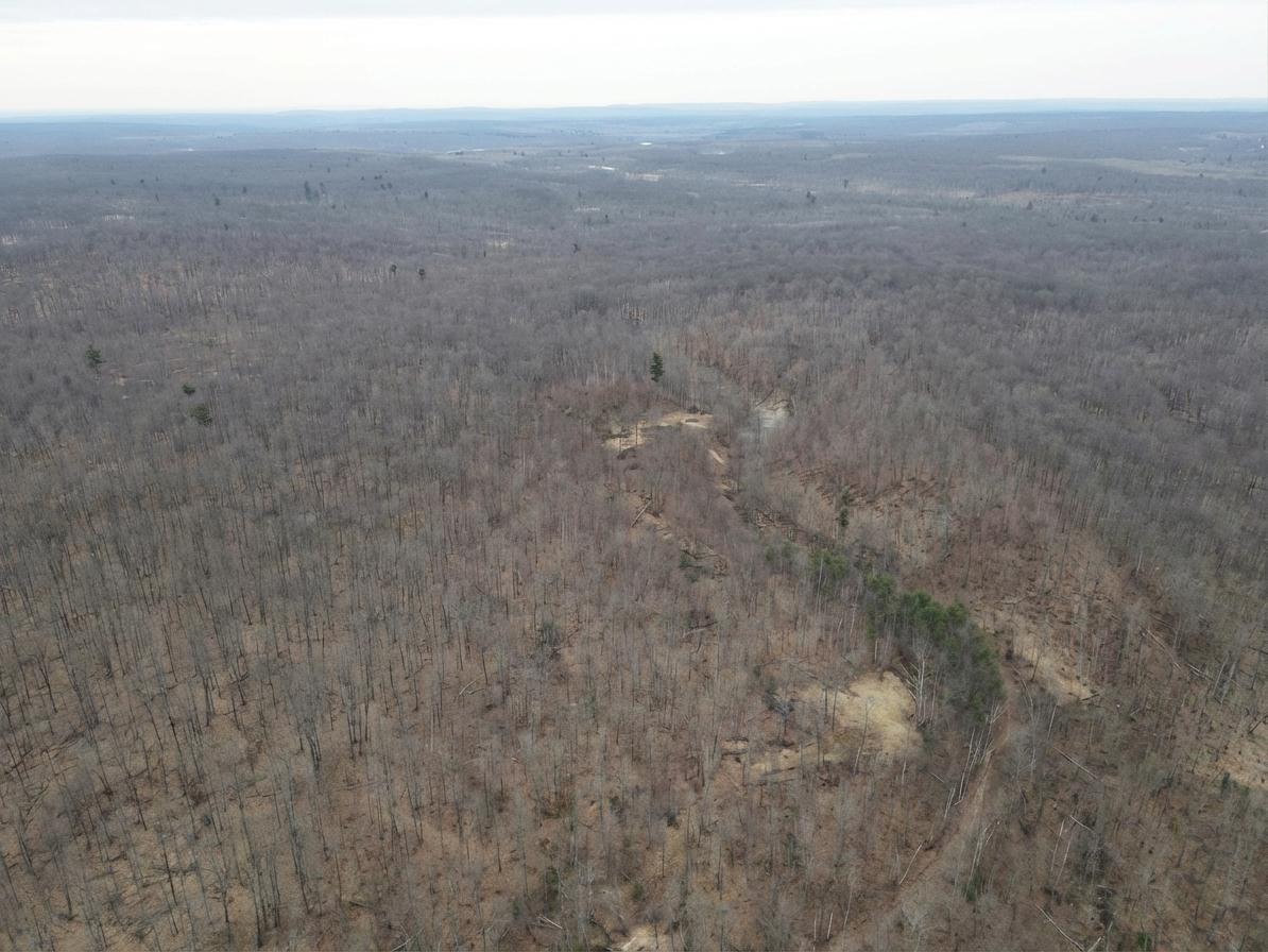 0 W State Highway 48 Birchwood WI 54817 1598255 image8