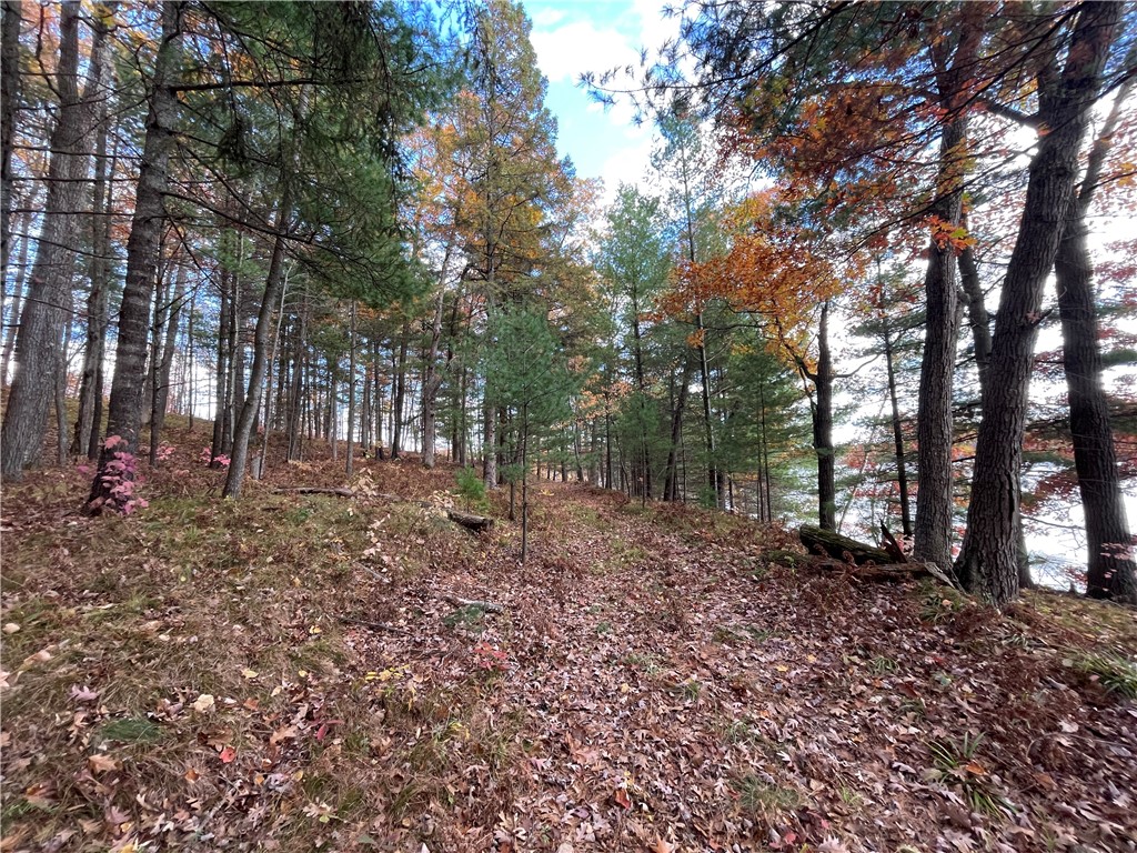 0 W Tanager Trail Hayward WI 54843 - Windigo 1596627 image11