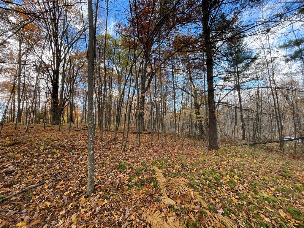 0 W Tanager Trail Hayward WI 54843 - Windigo 1596627 image17