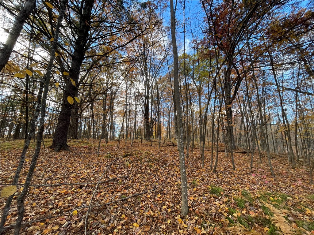0 W Tanager Trail Hayward WI 54843 - Windigo 1596627 image18