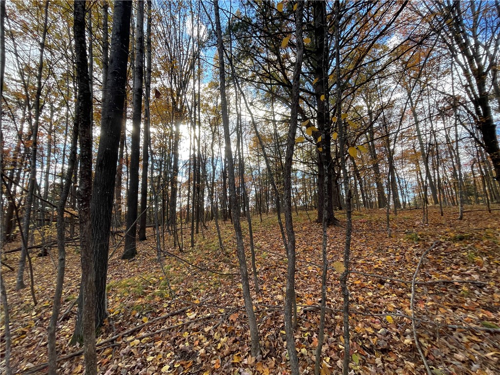 0 W Tanager Trail Hayward WI 54843 - Windigo 1596627 image20