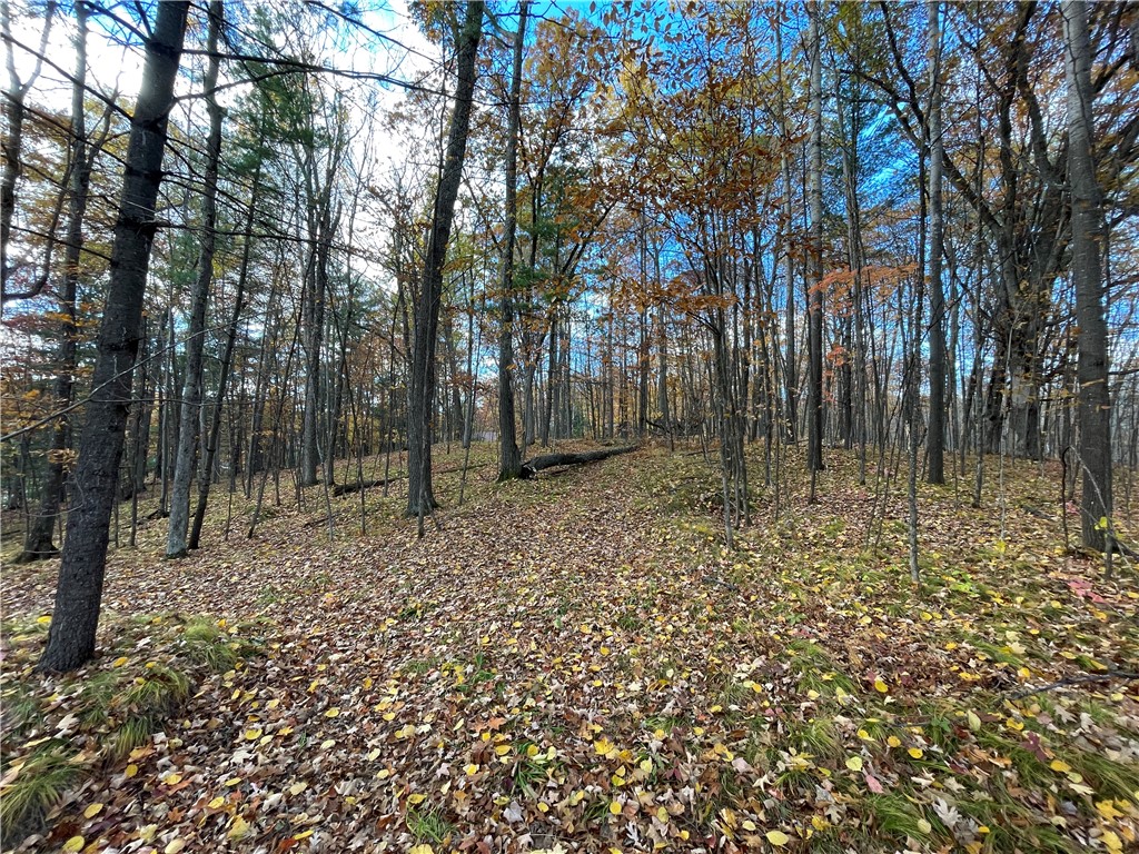 0 W Tanager Trail Hayward WI 54843 - Windigo 1596627 image21