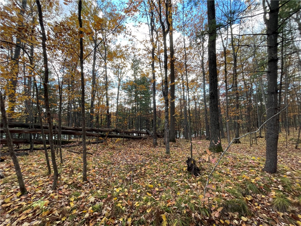 0 W Tanager Trail Hayward WI 54843 - Windigo 1596627 image24