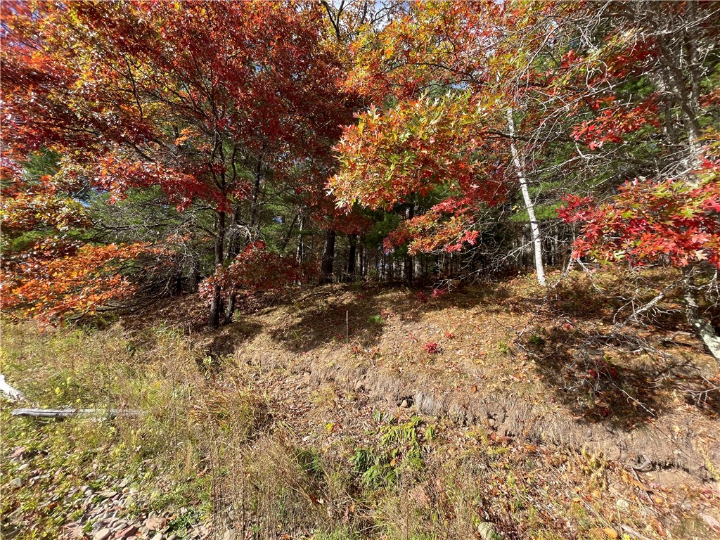 0 W Tanager Trail Hayward WI 54843 - Windigo 1596627 image31