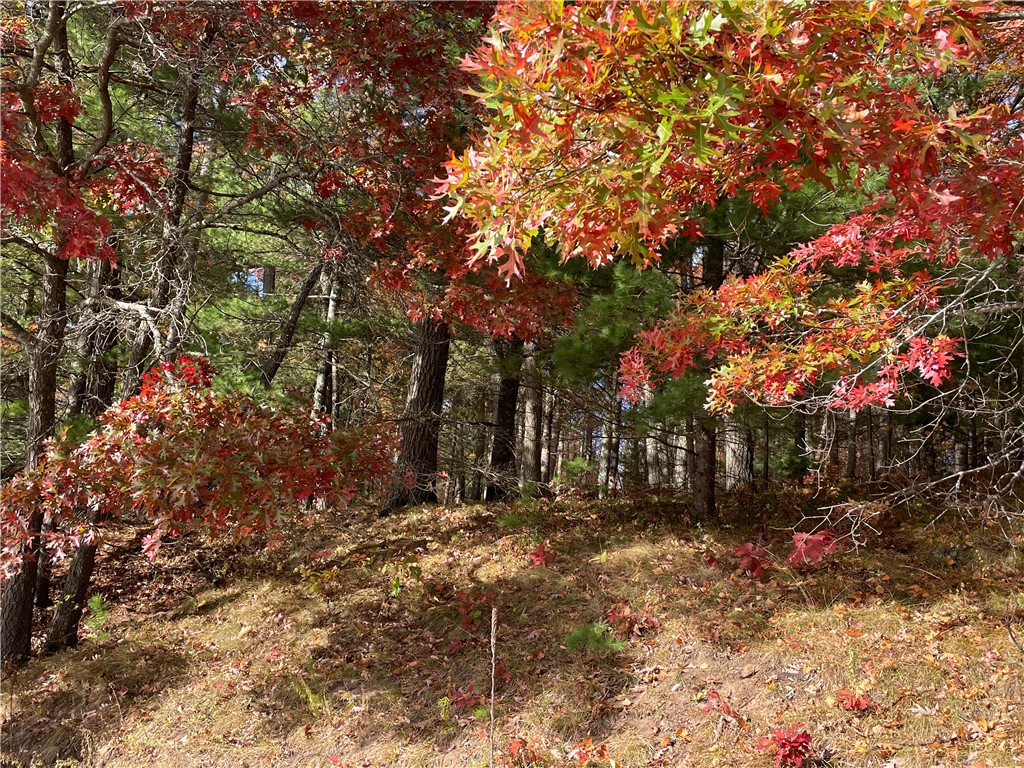 0 W Tanager Trail Hayward WI 54843 - Windigo 1596627 image32