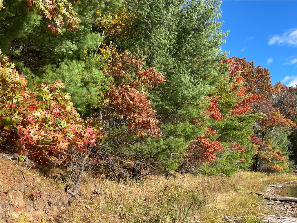 0 W Tanager Trail Hayward WI 54843 - Windigo 1596627 image33