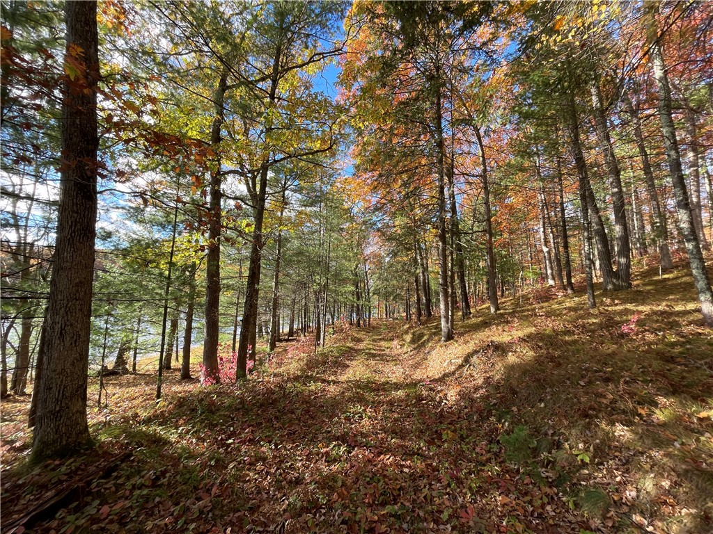 0 W Tanager Trail Hayward WI 54843 - Windigo 1596627 image34