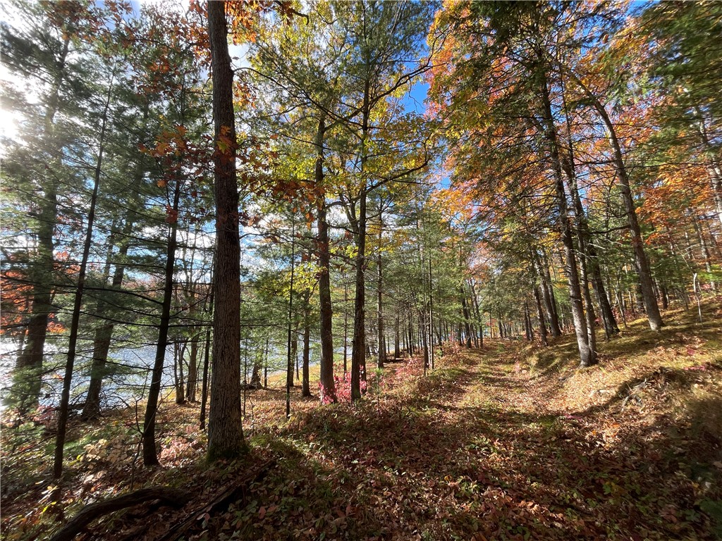 0 W Tanager Trail Hayward WI 54843 - Windigo 1596627 image35