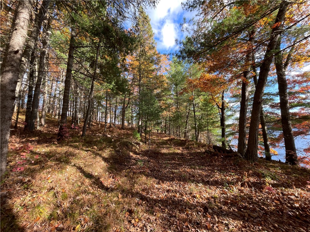 0 W Tanager Trail Hayward WI 54843 - Windigo 1596627 image41