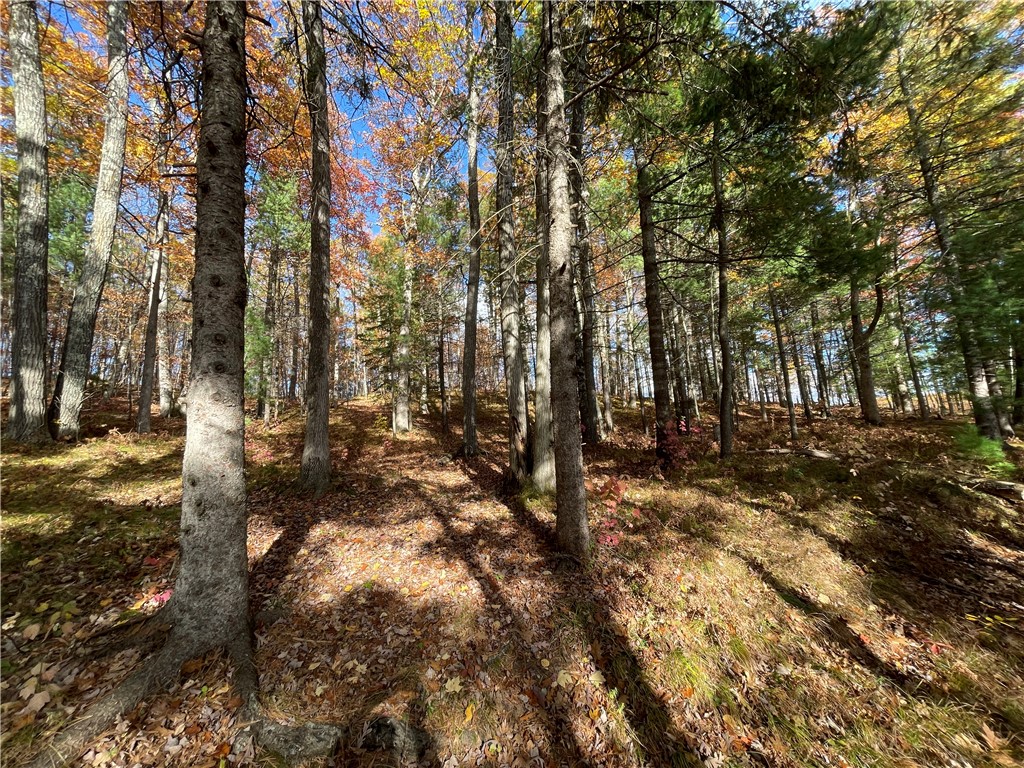 0 W Tanager Trail Hayward WI 54843 - Windigo 1596627 image43