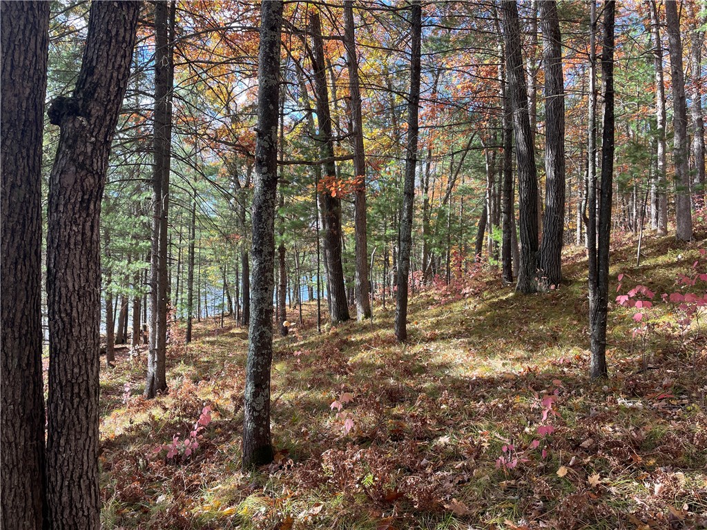 0 W Tanager Trail Hayward WI 54843 - Windigo 1596627 image48