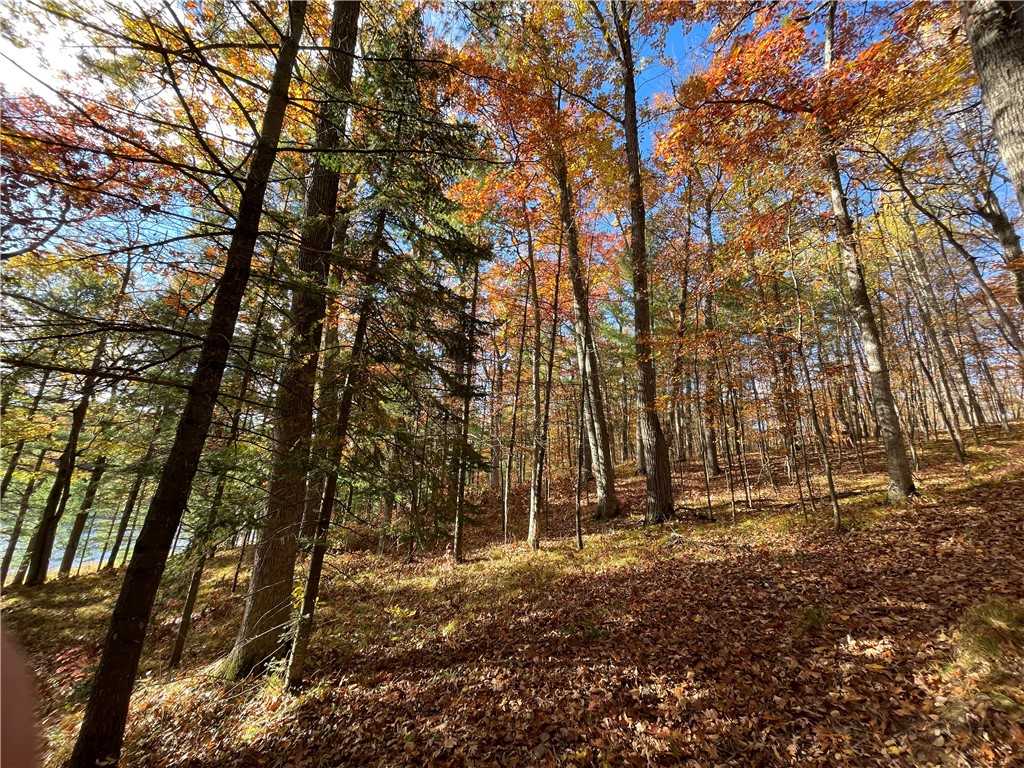 0 W Tanager Trail Hayward WI 54843 - Windigo 1596627 image49