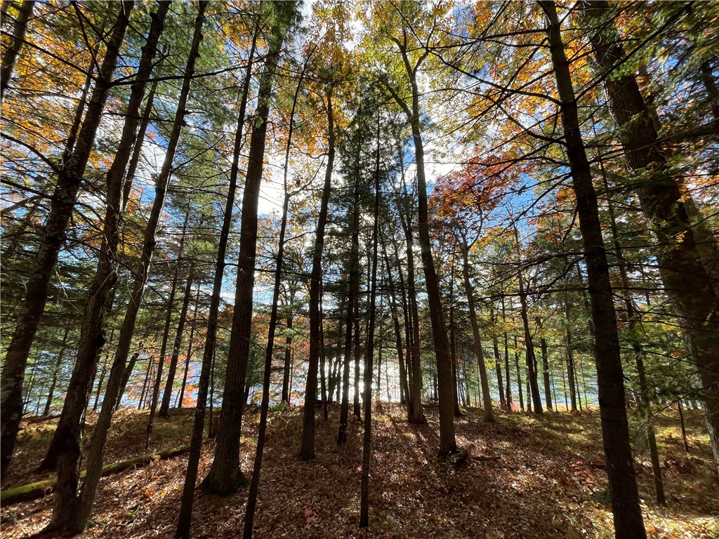 0 W Tanager Trail Hayward WI 54843 - Windigo 1596627 image51