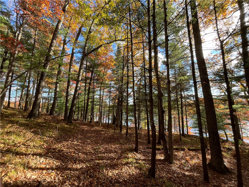 0 W Tanager Trail Hayward WI 54843 - Windigo 1596627 image52