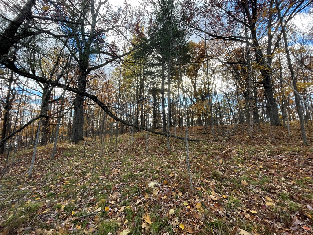 0 W Tanager Trail Hayward WI 54843 - Windigo 1596627 image56