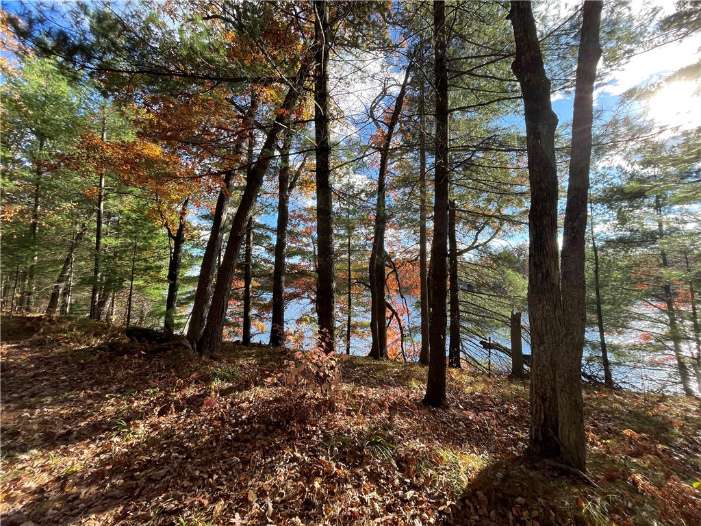 0 W Tanager Trail Hayward WI 54843 - Windigo 1596627 image58