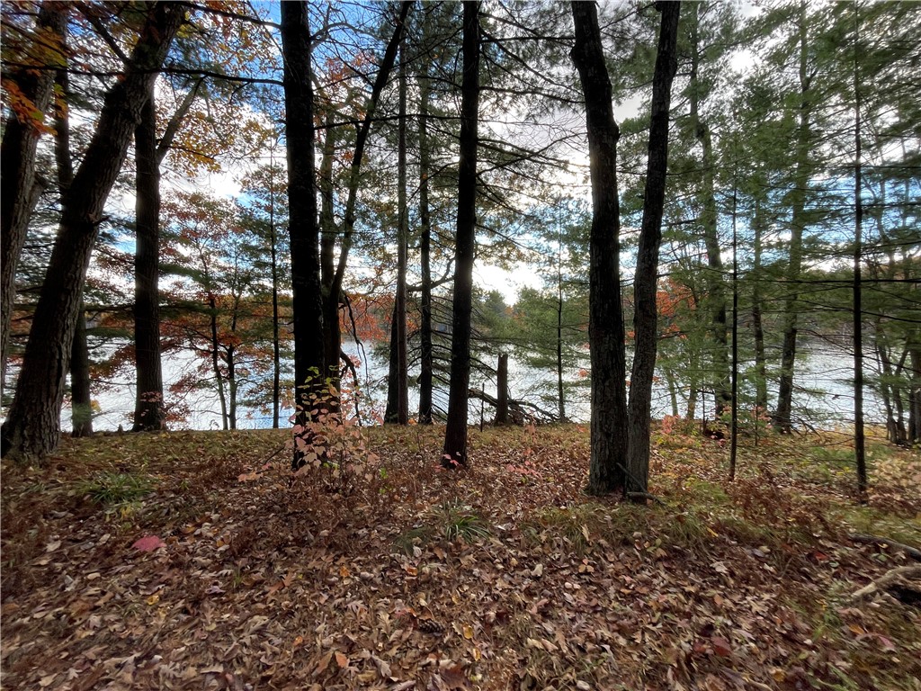 0 W Tanager Trail Hayward WI 54843 - Windigo 1596627 image9