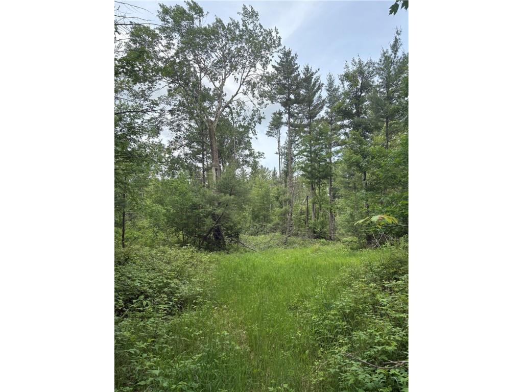 0 Walkers Road Humbird WI 54746 1592745 image10