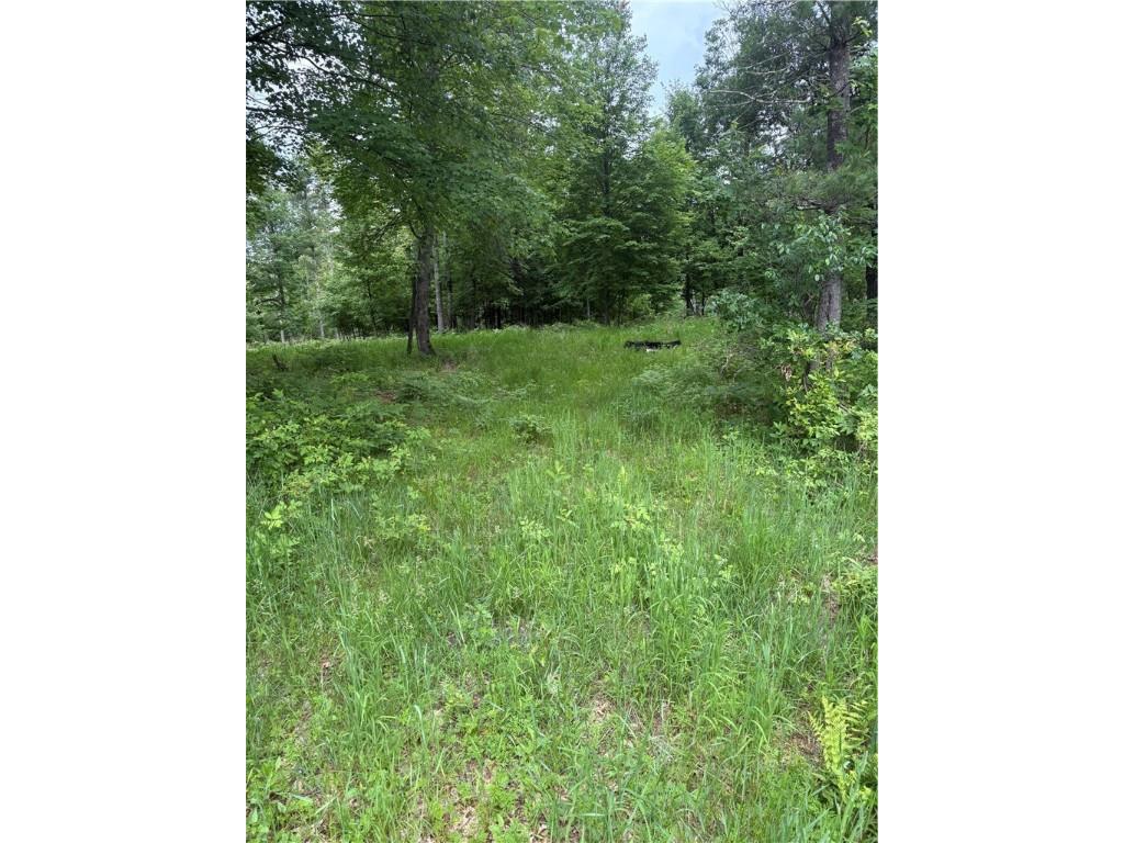 0 Walkers Road Humbird WI 54746 1592745 image11