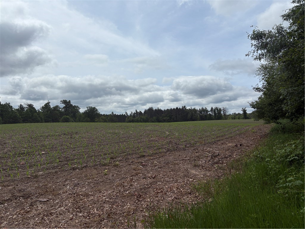 0 Walkers Road Humbird WI 54746 1592745 image12