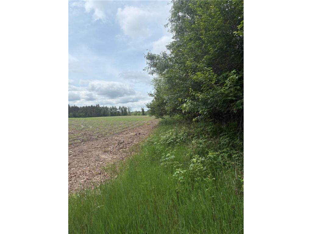 0 Walkers Road Humbird WI 54746 1592745 image13