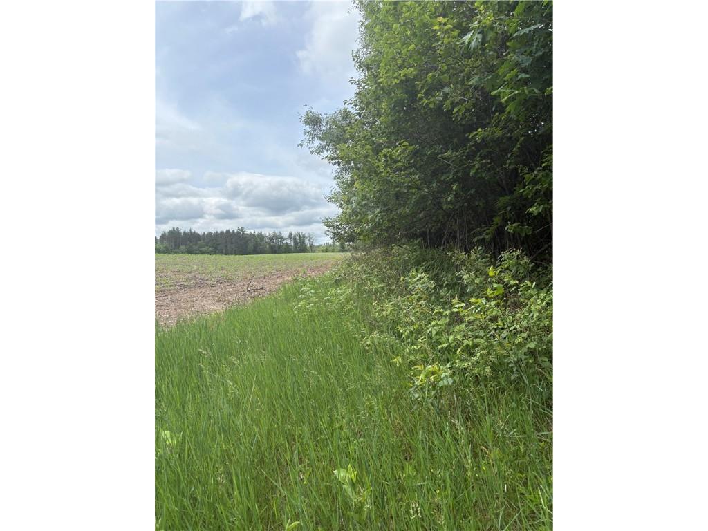 0 Walkers Road Humbird WI 54746 1592745 image14