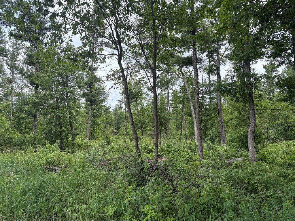 0 Walkers Road Humbird WI 54746 1592745 image15