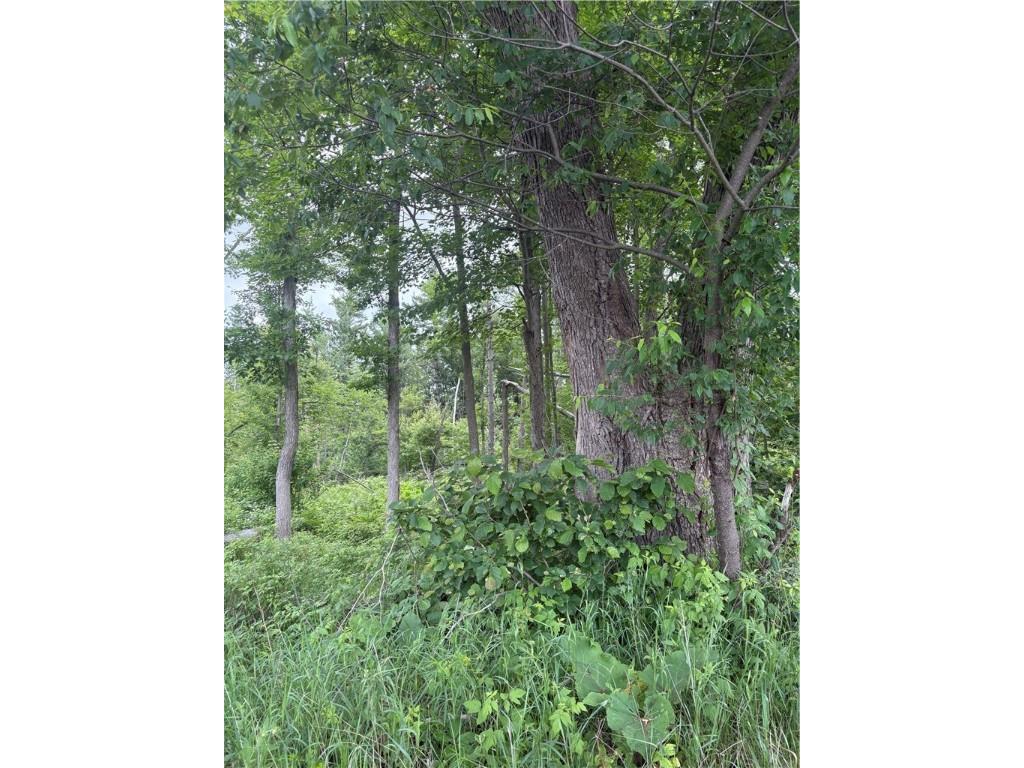 0 Walkers Road Humbird WI 54746 1592745 image16