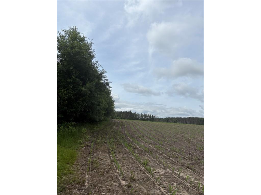 0 Walkers Road Humbird WI 54746 1592745 image17