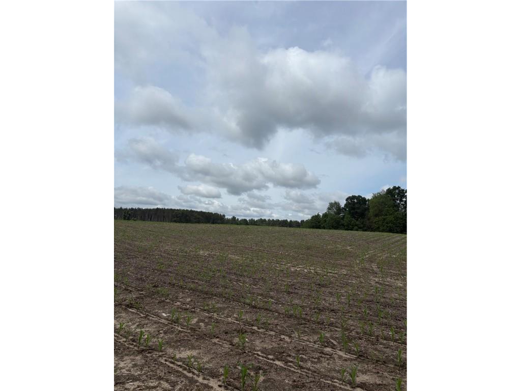 0 Walkers Road Humbird WI 54746 1592745 image18