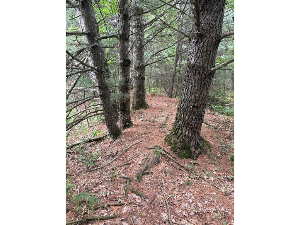 0 Walkers Road Humbird WI 54746 1592745 image19