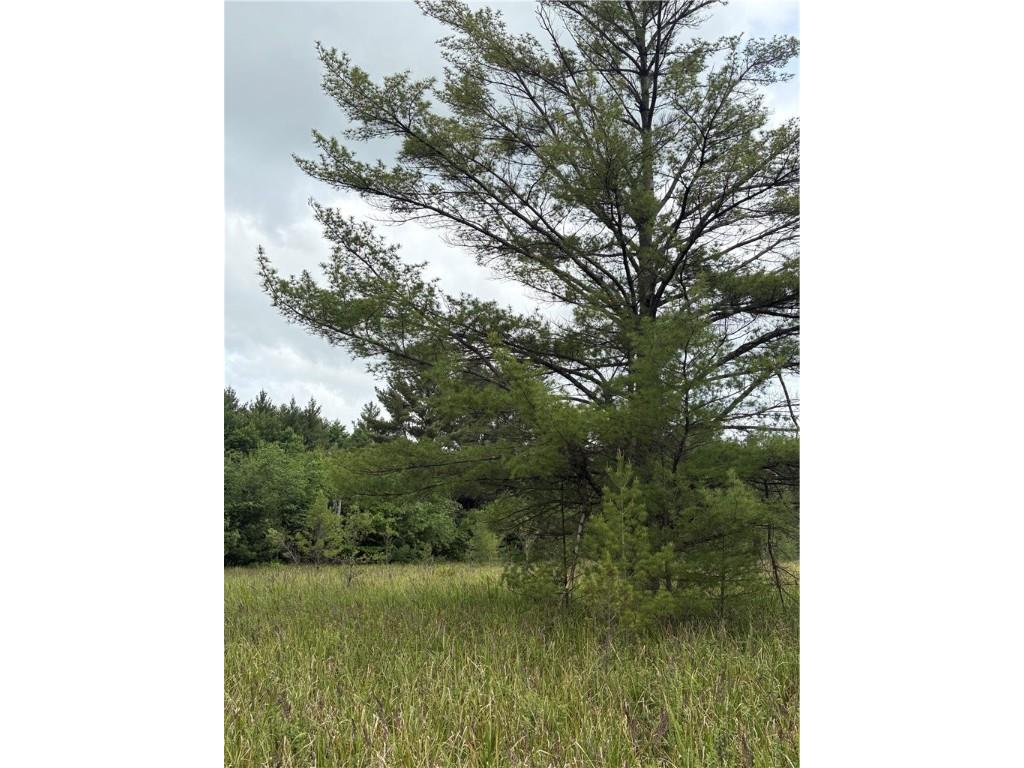 0 Walkers Road Humbird WI 54746 1592745 image20