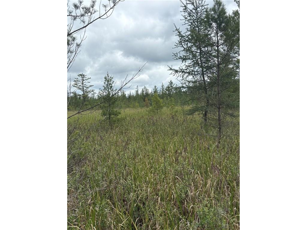 0 Walkers Road Humbird WI 54746 1592745 image21