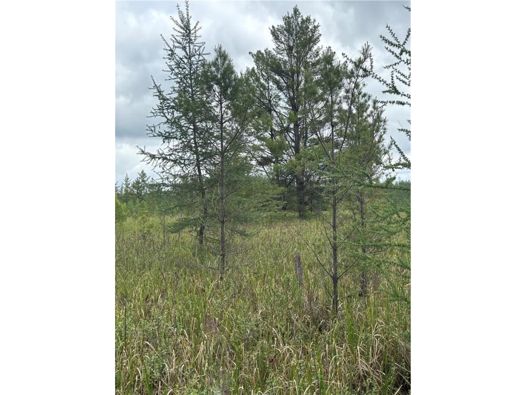 0 Walkers Road Humbird WI 54746 1592745 image22