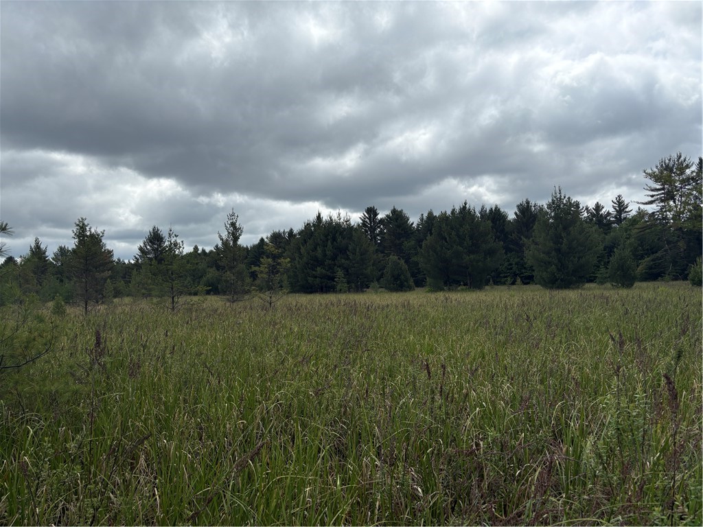 0 Walkers Road Humbird WI 54746 1592745 image23