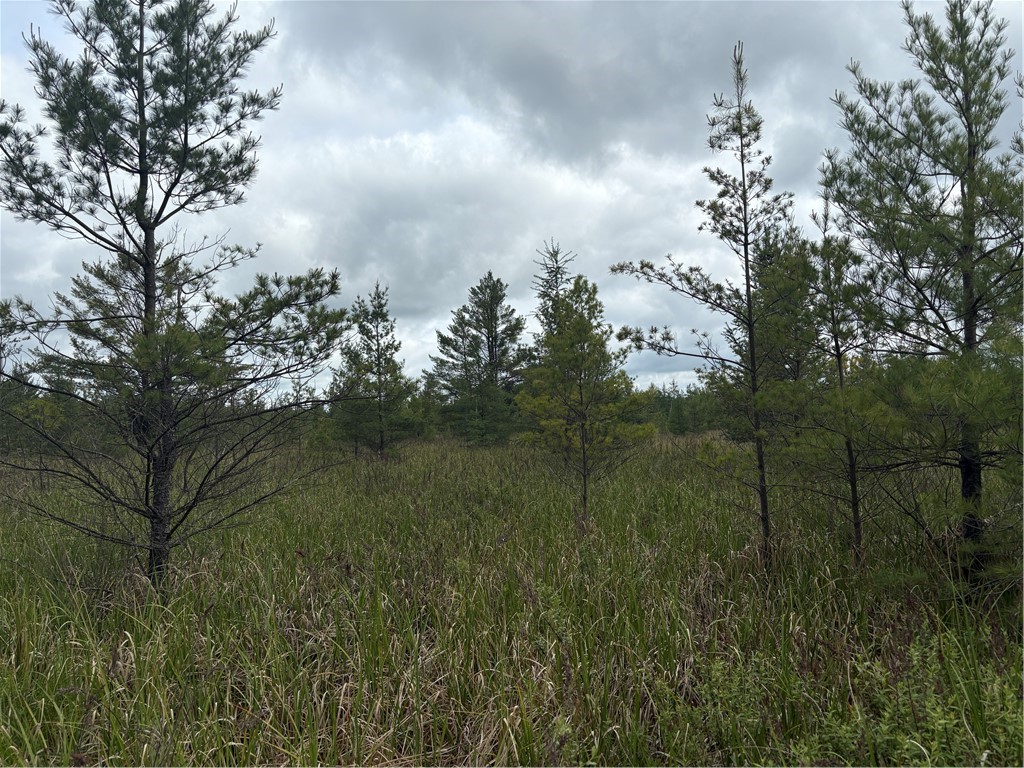 0 Walkers Road Humbird WI 54746 1592745 image24