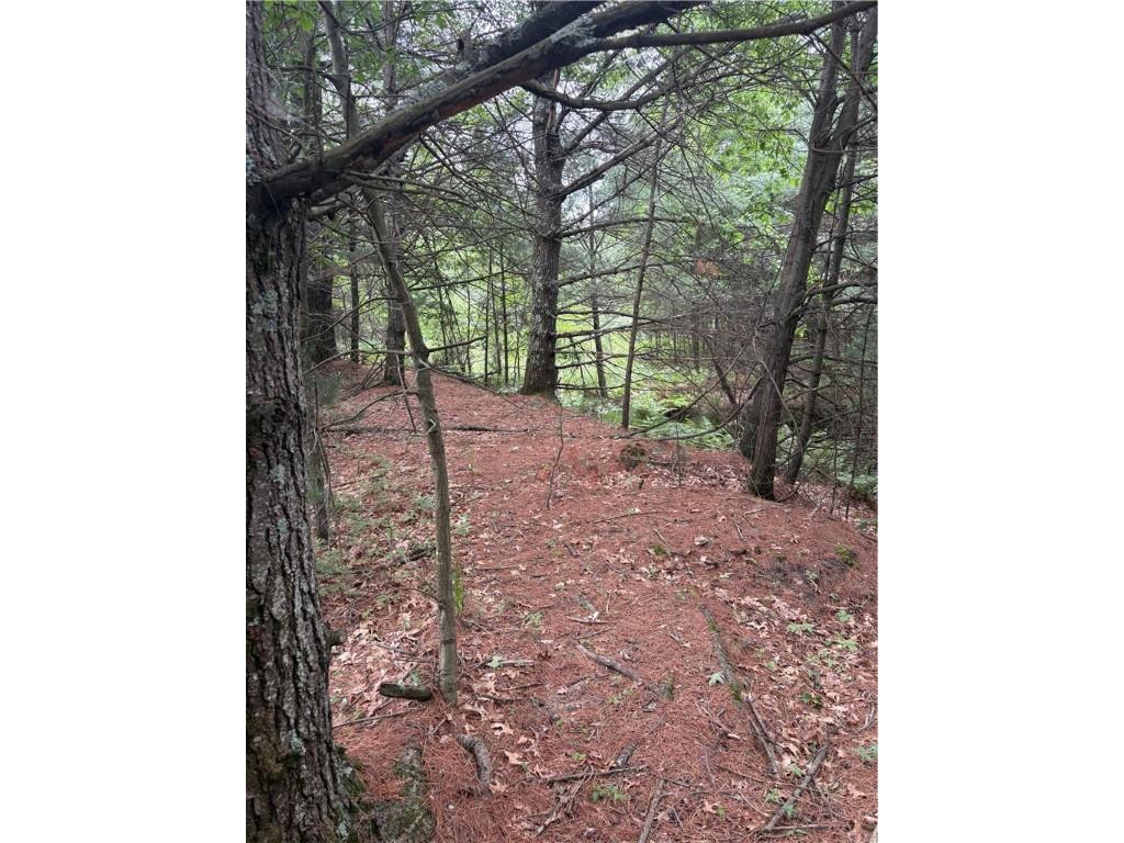 0 Walkers Road Humbird WI 54746 1592745 image25