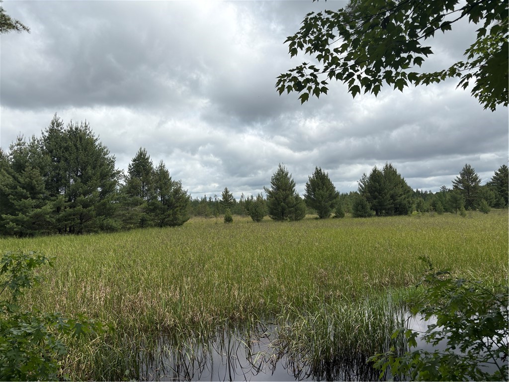 0 Walkers Road Humbird WI 54746 1592745 image26