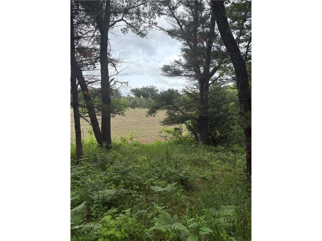 0 Walkers Road Humbird WI 54746 1592745 image3