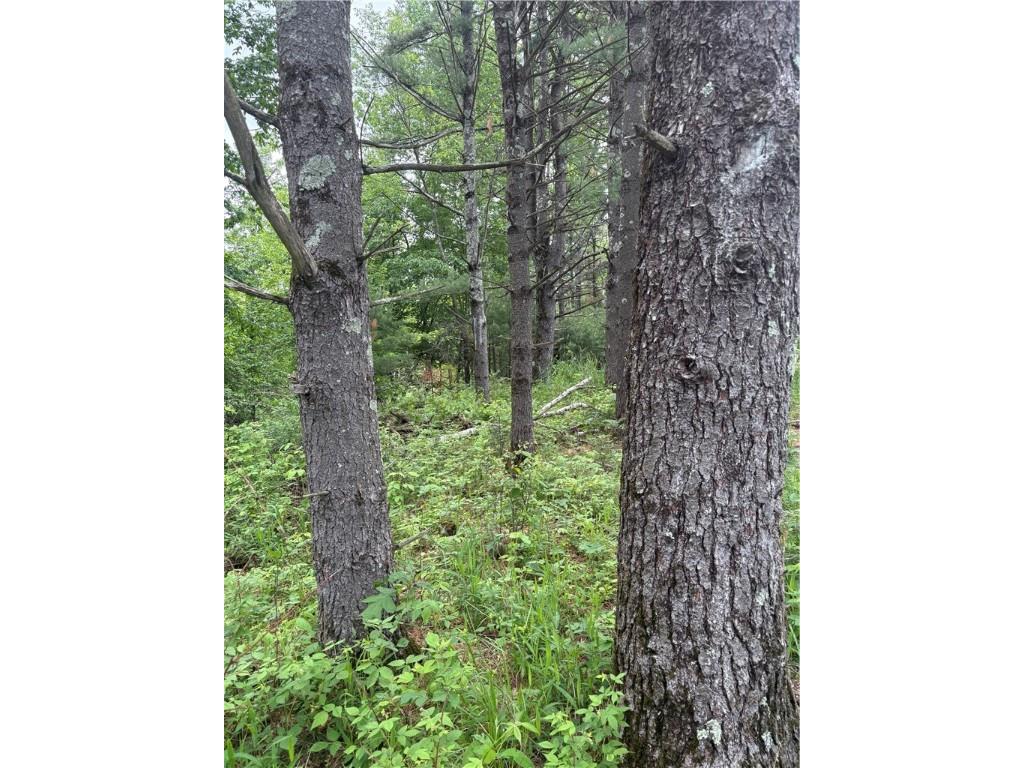 0 Walkers Road Humbird WI 54746 1592745 image4