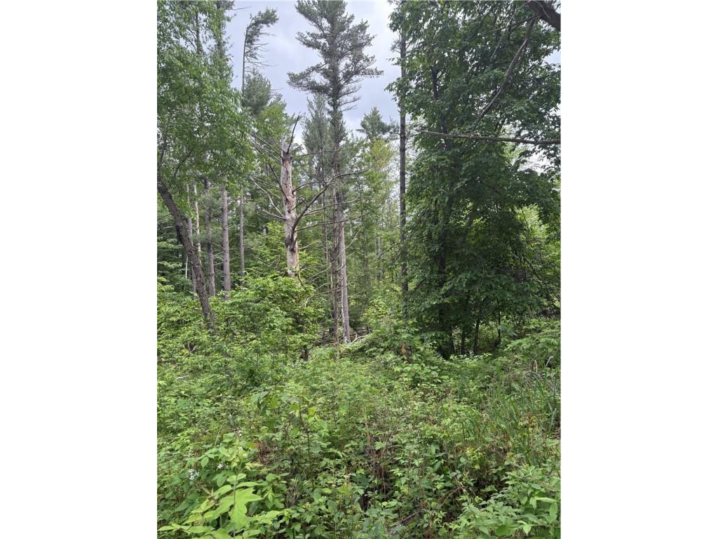 0 Walkers Road Humbird WI 54746 1592745 image5