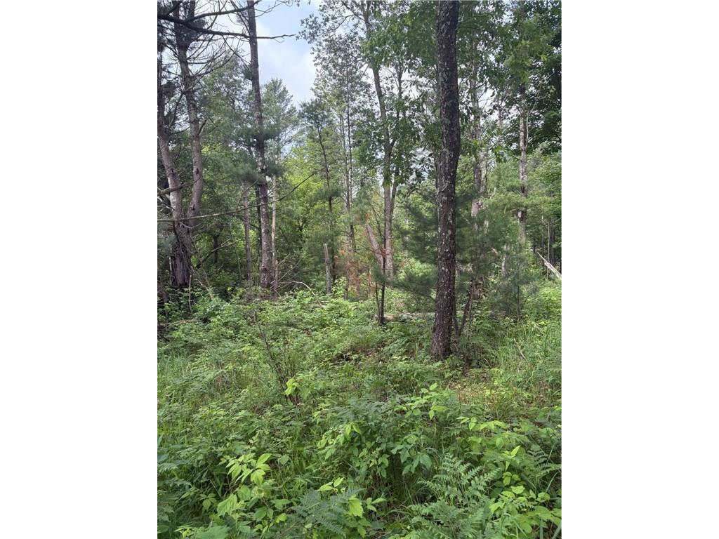 0 Walkers Road Humbird WI 54746 1592745 image7