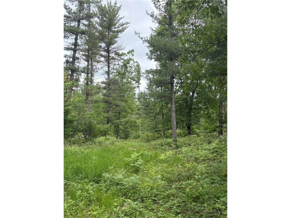 0 Walkers Road Humbird WI 54746 1592745 image8