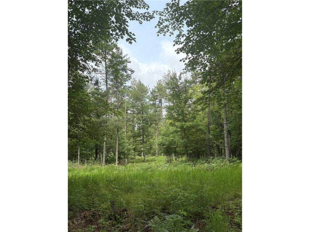 0 Walkers Road Humbird WI 54746 1592745 image9