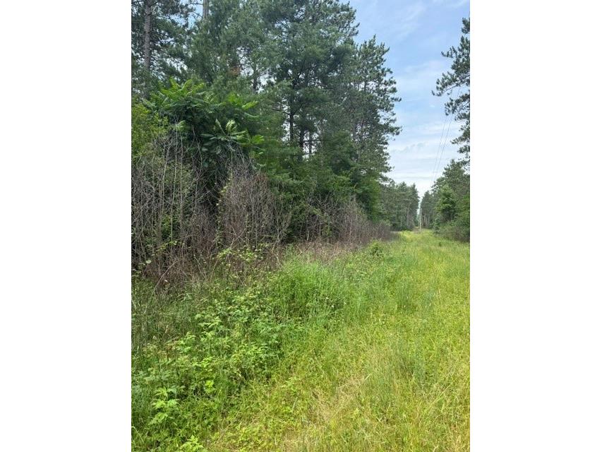 0 West Road Black River Falls WI 54615 - Halls Creek 1603057 image1