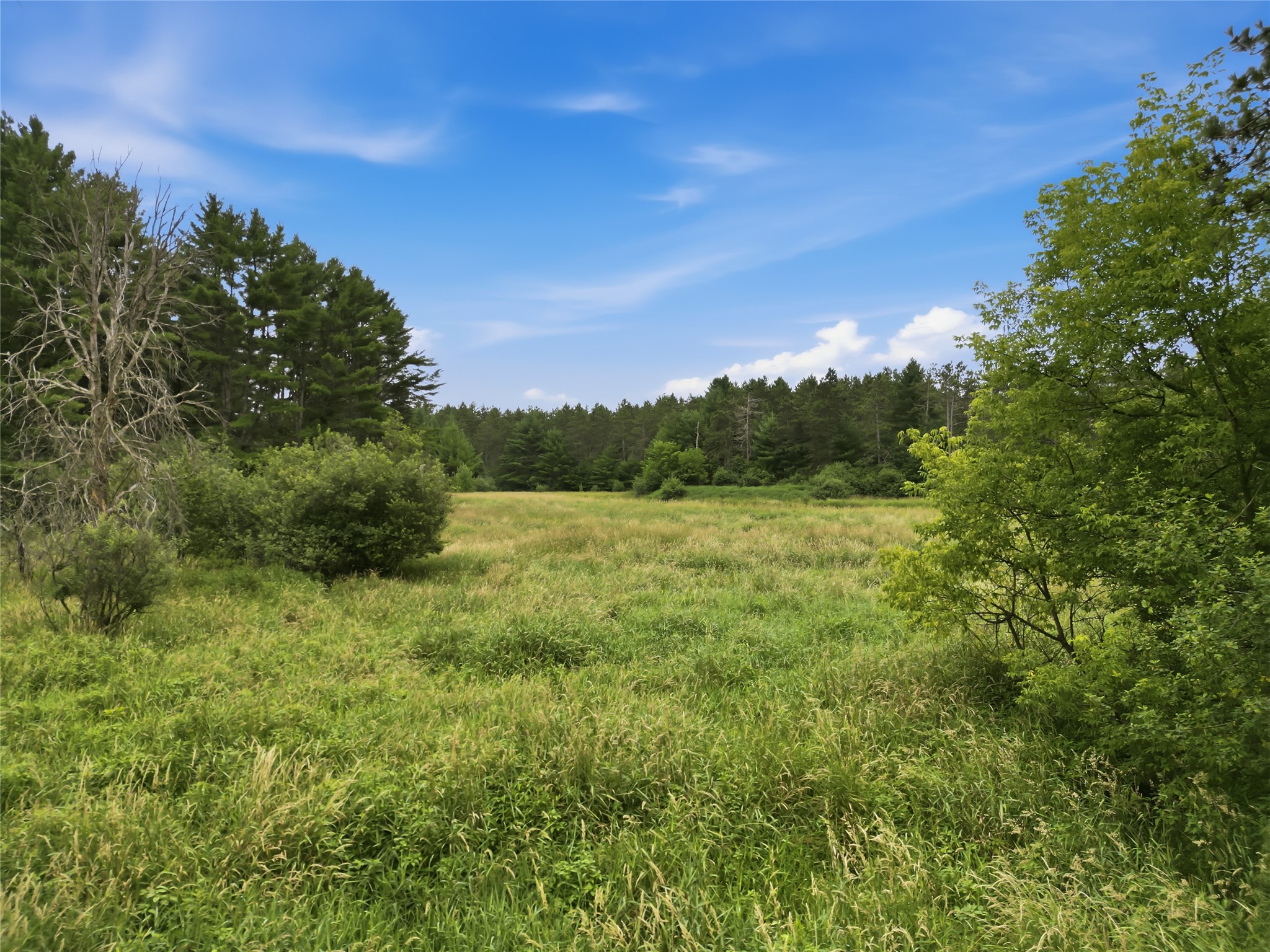 0 West Road Black River Falls WI 54615 - Halls Creek 1603057 image10