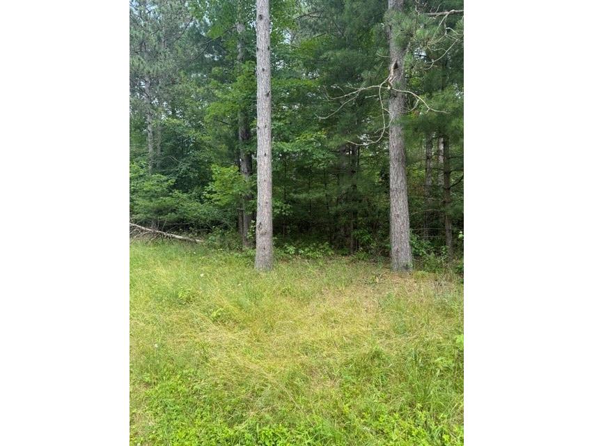 0 West Road Black River Falls WI 54615 - Halls Creek 1603057 image2