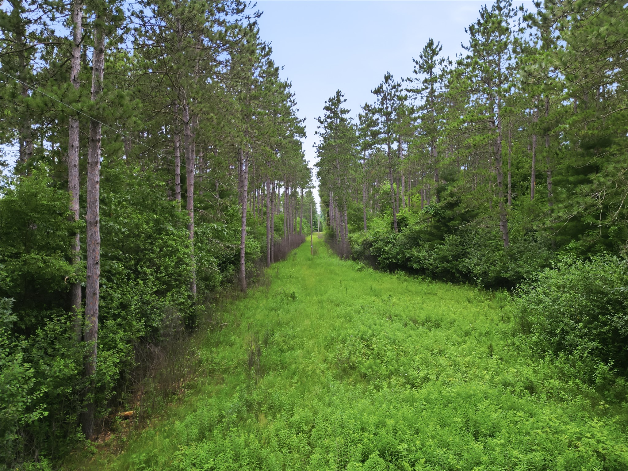 0 West Road Black River Falls WI 54615 - Halls Creek 1603057 image20