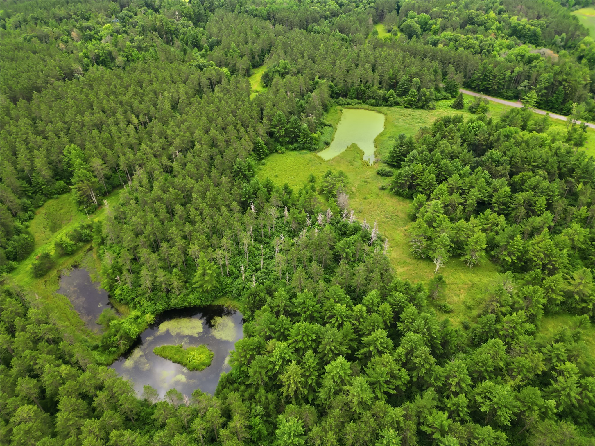 0 West Road Black River Falls WI 54615 - Halls Creek 1603057 image22