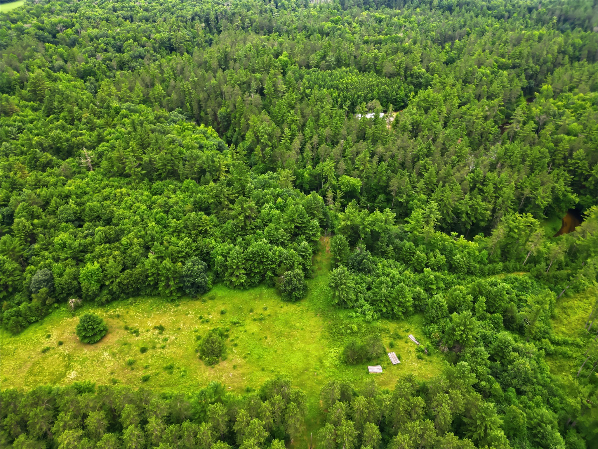0 West Road Black River Falls WI 54615 - Halls Creek 1603057 image24
